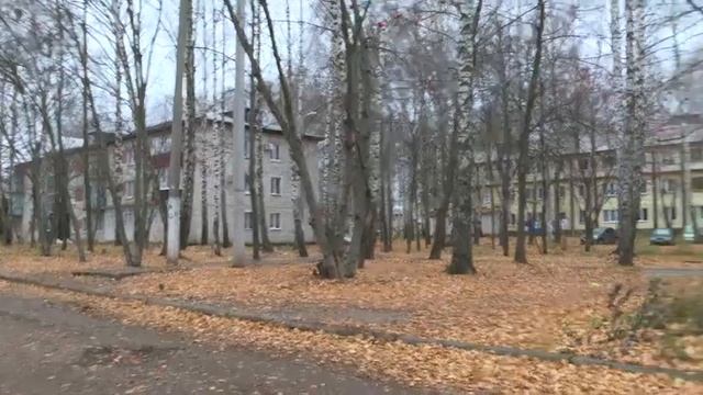 Трагедия в посёлке Осиново нашли повешенную на дереве девочку-подростка смотреть онлайн