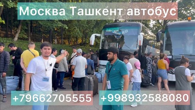 #москва #ташкент #автобус #2023 Санкт-Петербург Ташкент автобус Краснодар Ташкент автобус ￼ смотреть онлайн