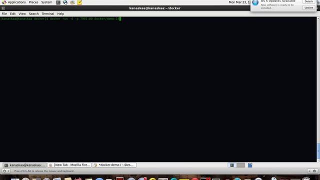 Running your Web Application using Docker Container смотреть онлайн
