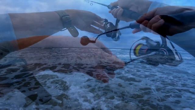 Fishing San Diego beaches: Just gettin' out there - Oct '2022 смотреть онлайн