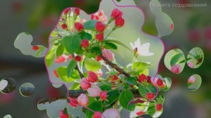 Азбука Хит, Весна, песни о весне