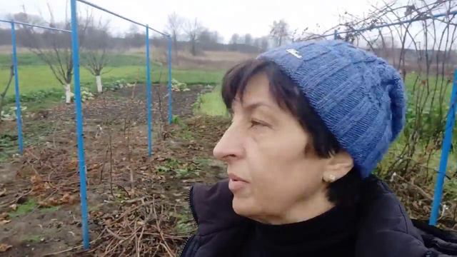 Часть 2.Ноев ковчег или успеть за несколько часов смотреть онлайн