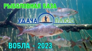 Рыбалка в Астрахани. Вобла. Рыболовная база Удача Плюс.