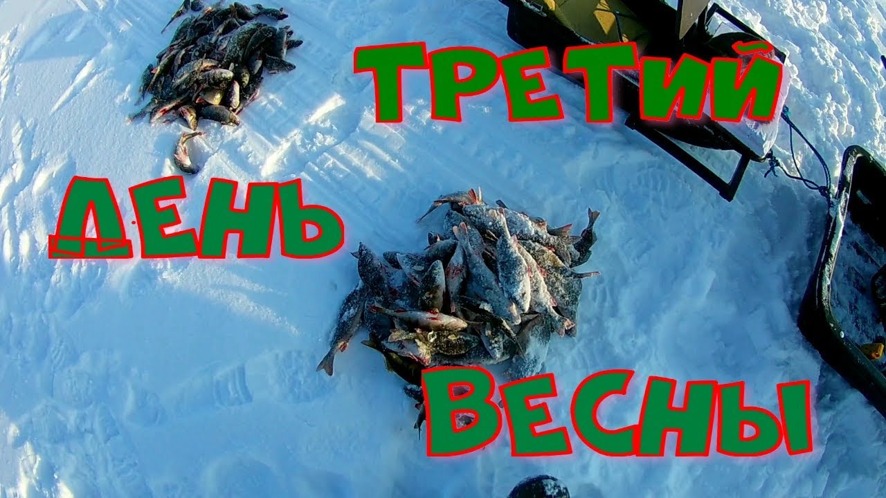 Рыбалка. Третий день ВЕСНЫ.mp4 смотреть онлайн