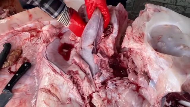 거대한 달 물고기 도살,ГИГАНСКАЯ РЫБА ЛУНА РАЗДЕЛКА РЫБЫgiant moon fish butchering смотреть онлайн