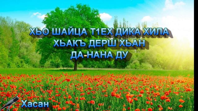 Хьо шайца тӀех дика хила хьакъ дерш хьан Да-Нана ду // Хьасан. смотреть онлайн
