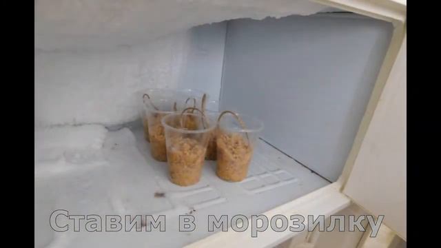 Акция добрых дел. Кормушки с салом для птиц. 1 часть смотреть онлайн
