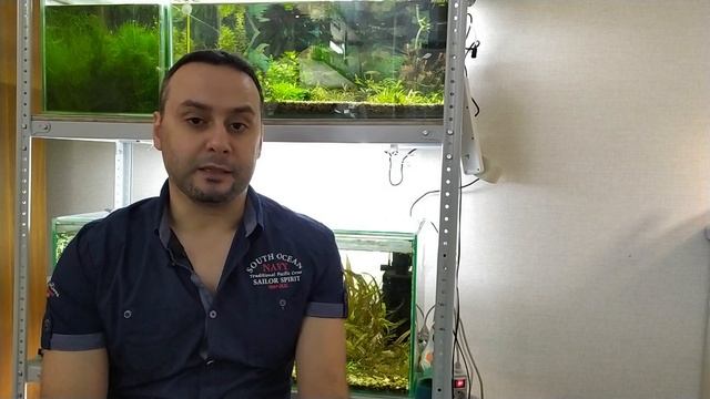 Бурые Водоросли VS Аквариумные улитки. Раунд 1 смотреть онлайн