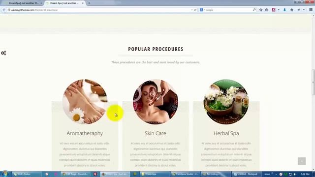 Setting up HomePage in DreamSpa WP theme смотреть онлайн