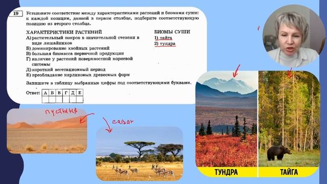 ЕГЭ 2023 по биологии Разбор 4 варианта Сборника Рохлова смотреть онлайн