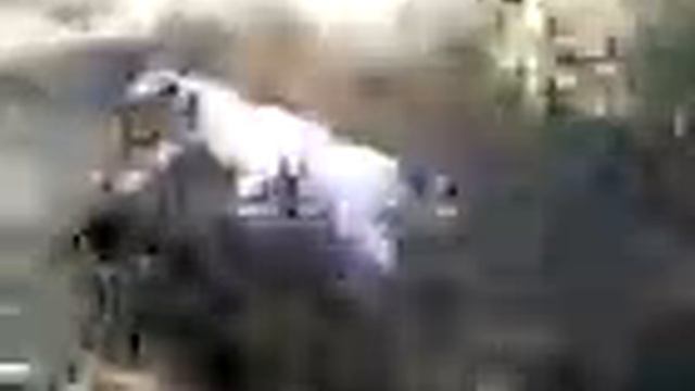 Гладкошерстный Фокстерьер Погоня за кроликом смотреть онлайн