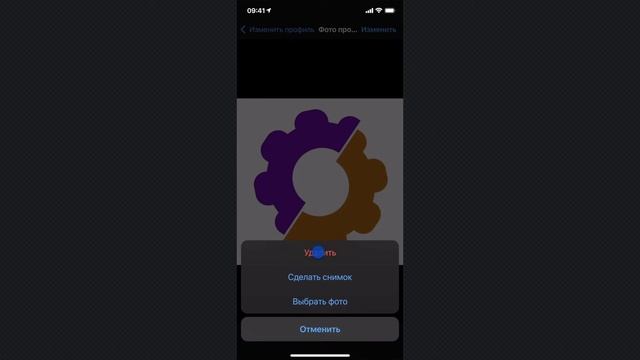 Как удалить аватарку (фото профиля) в WhatsApp смотреть онлайн