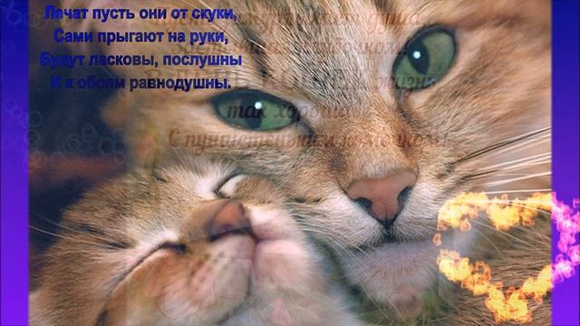 Музыкальная открытка☀️ День Кошек. Красивое поздравление с Днем Кошек. Всемирный день кошек.#4 смотреть онлайн