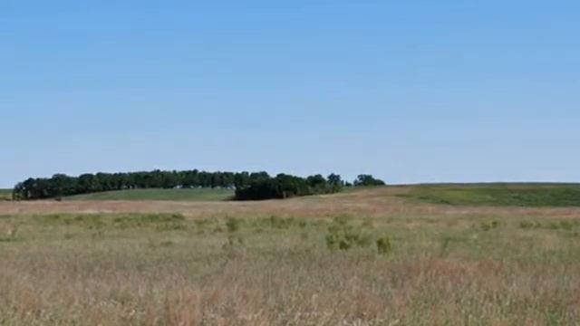 лето исп Юлия Морозова смотреть онлайн