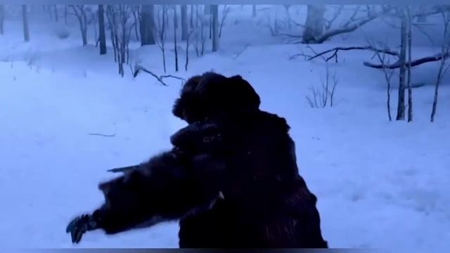 Сон тигра! смотреть онлайн