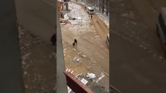 Москвадагы кыргыздар ушундай журуп иштейиткен коргуло смотреть онлайн