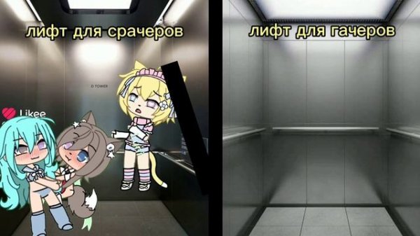 гача срача??