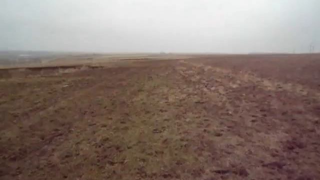 Поиск золота. Поиск на Царицынском шляху. Чешуйки Петра I. смотреть онлайн