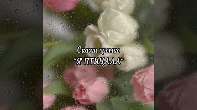❤️Танцуй если знаешь этот тренд а если не знаешь выполни задание❤️ смотреть онлайн