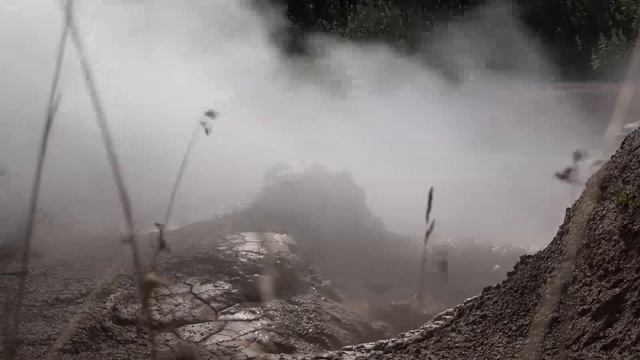 КАМЧАТКА#ПАУЖЕТКА С ТОЧКИ ЗРЕНИЯ НАУКИ. смотреть онлайн