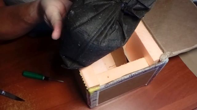 Посылка в Ханты-Мансийский округ с коконами и мальком Дендры. Отзыв заказчика. смотреть онлайн