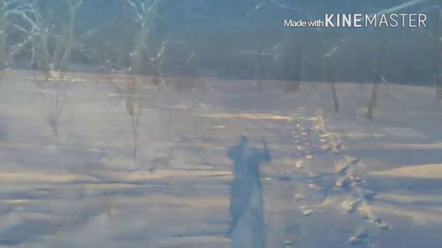 Удачная рыбалка.Ладога