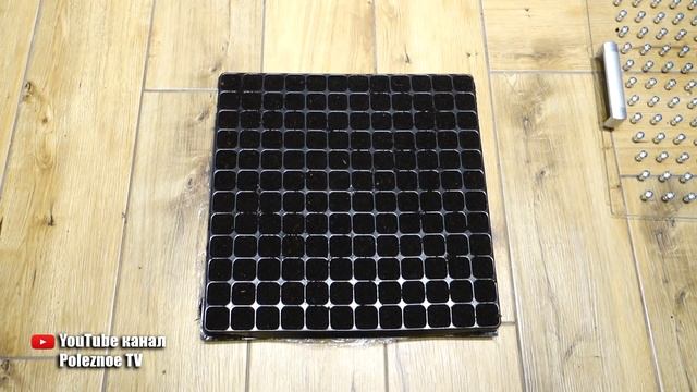 РУЧНАЯ СЕЯЛКА ДЛЯ СЕМЯН! БЫСТРЫЙ СПОСОБ ВЫСЕВА СЕМЯН смотреть онлайн