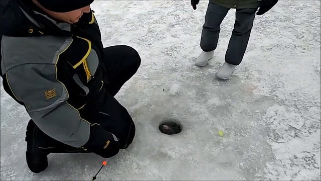 Поимки форели и не только её. Клёвое место. смотреть онлайн