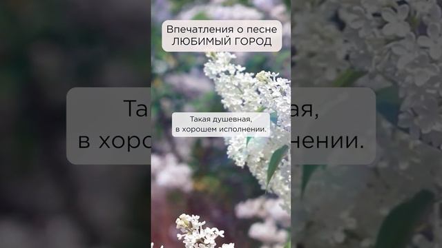 Песня душевная, с удовольствием прослушала! Наталья, г. Новосибирск #сказочныймир #любимыйгород смотреть онлайн