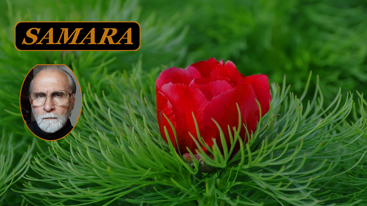 Самара. Ботанический сад. Май 2024. 5. Samara. The Botanical Garden. May. смотреть онлайн