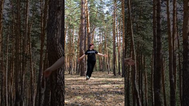 Лес моё место силы.mp4 смотреть онлайн