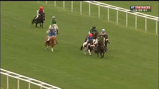 Shetland pony racing - Doncaster thriller! смотреть онлайн