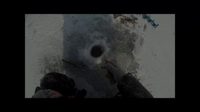 Зимняя рыбалка на Митинке февраль 2019 смотреть онлайн