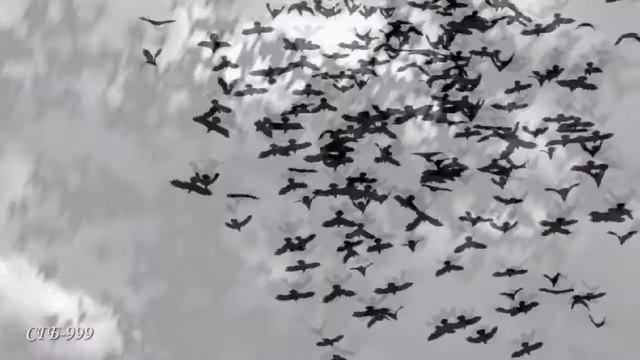 VITAS - Lucia Di Lammermoor смотреть онлайн