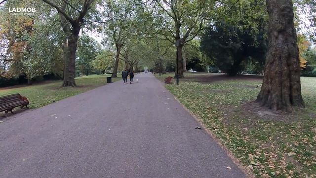 Nature Walking Tour Of London Battersea Park | London City Walk