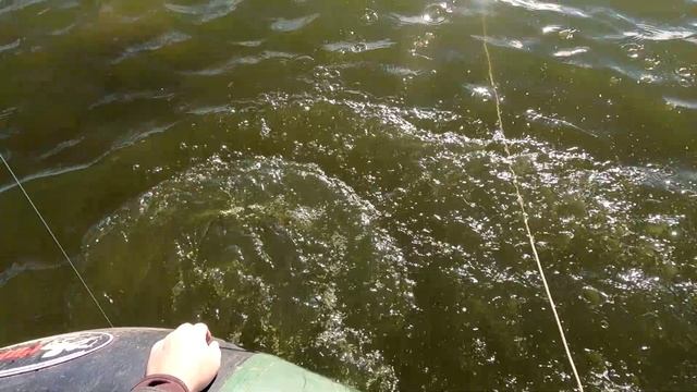 ЩУКА на блесну смотреть онлайн