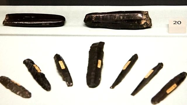 Происхождение европейцев, неандертальцы-мореплаватели и мозги наледи #DARWINews 6.2 смотреть онлайн