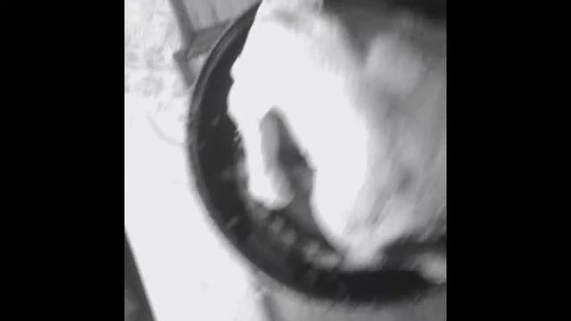 cooking:курица смотреть онлайн