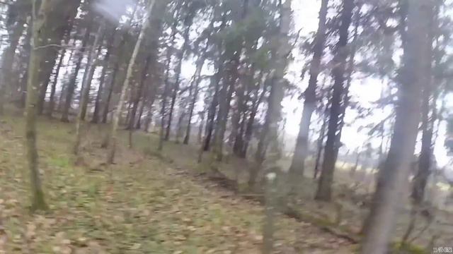 Охота с европейцами на куницу. Удача в дождливый день! смотреть онлайн