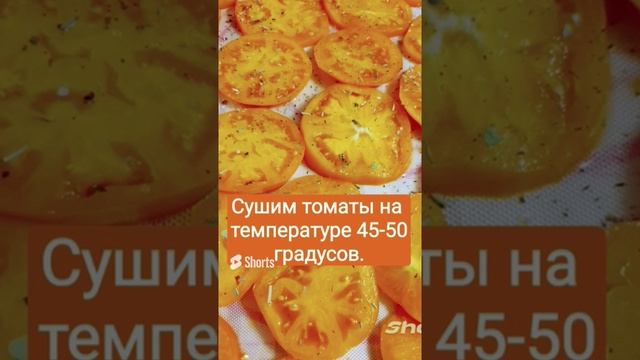 ТОМАТНЫЕ ЧИПСЫ ? смотреть онлайн