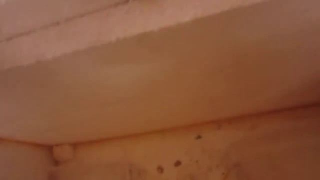 инкубатор своими руками. влажность смотреть онлайн