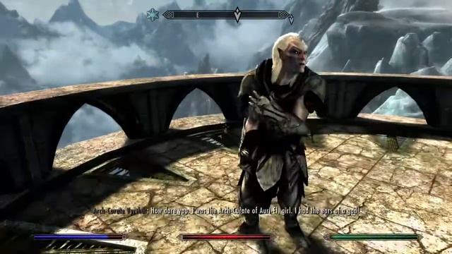 Skyrim Archmage vs. Arch Curate смотреть онлайн