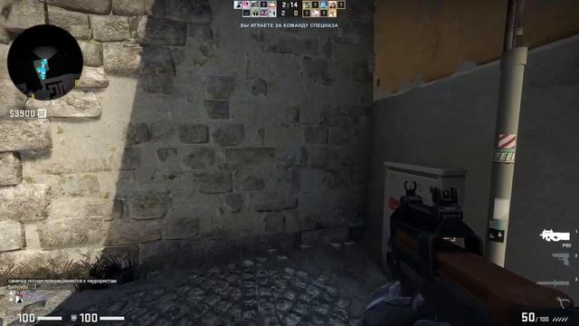 РУССКИЙ ДИКИЙ СРАЧ в КС ГО часть 1 смотреть онлайн