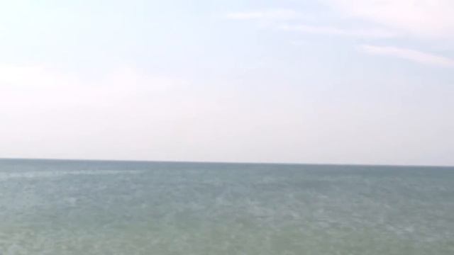 дельфины Железный порт смотреть онлайн