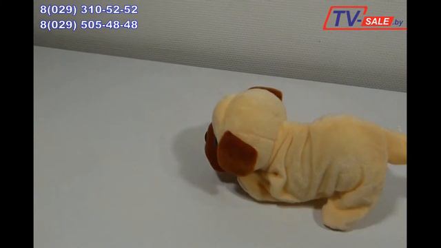 Игрушечная собачка которая умеет прыгать) смотреть онлайн