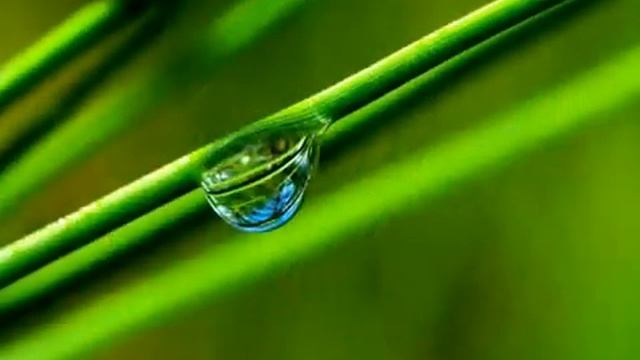 4Я ЧАКРАhari om namo narayana mantra. смотреть онлайн