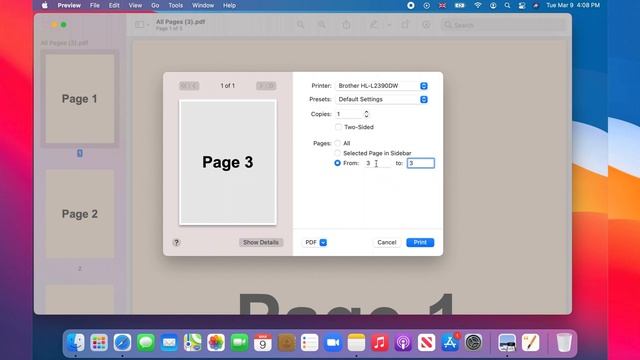 How to Split PDF Pages into Separate Files on Mac (With Preview) | macOS Big Sur смотреть онлайн