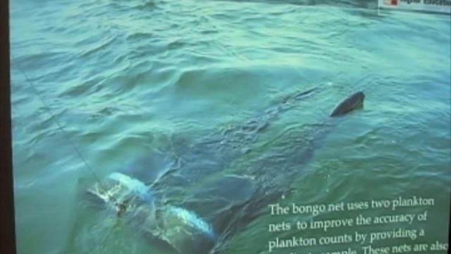 Ocean Productivity - Plankton Nets смотреть онлайн