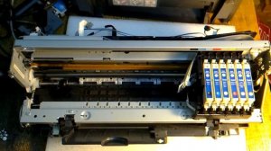 Принтер Epson Stylus Photo R220  выдает ошибку