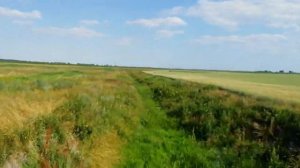 Иж Планета.  на иже по полю.